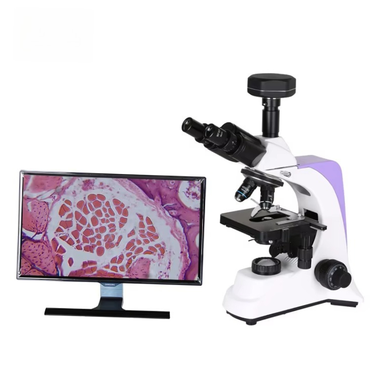 Medical Lab Scientist - Digitale biologische microscoop voor medisch laboratorium,